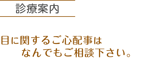 診療案内　目に関するご心配事はなんでもご相談下さい。